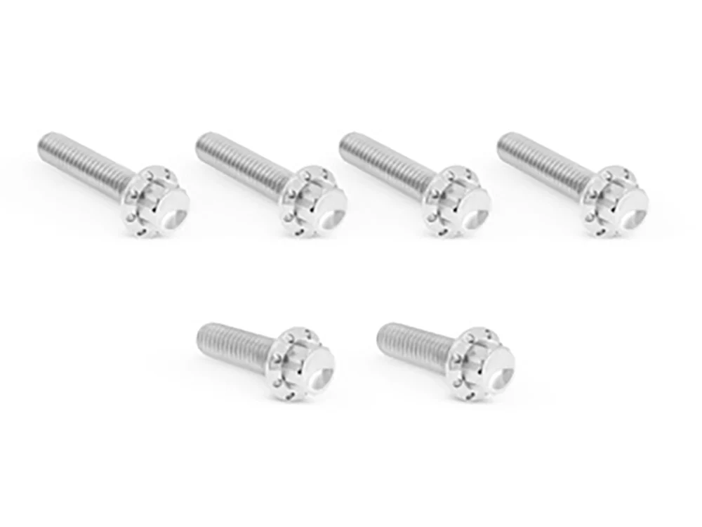Arlen Ness AN-300-703 Titanium 12-Point Transmission Side Cover Bolt Kit Polished for Harley-Davidson Touring 07-23/Softail 07-24/Dyna 06-17