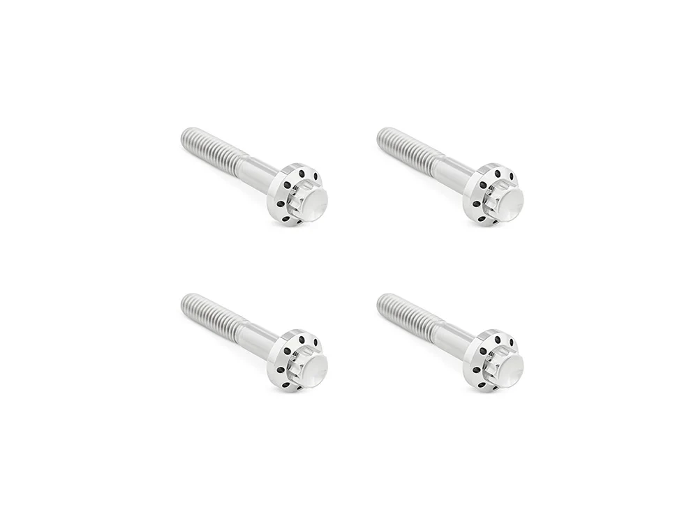 Arlen Ness AN-300-818 Titanium 12-Point Front Fender Mounting Hardware Polished for Harley-Davidson Touring 09-Up
