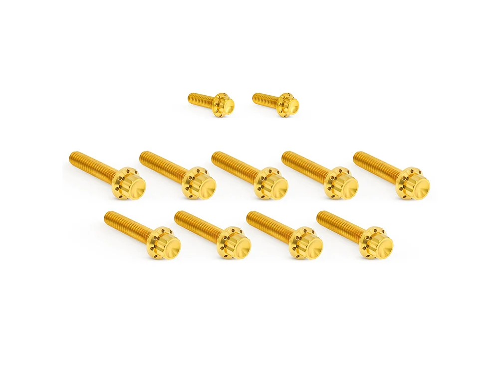 Arlen Ness AN-300-934 Titanium 12-Point Cam Cover Bolt Kit Gold for most Harley-Davidson Touring 17-24/Softail 18-24