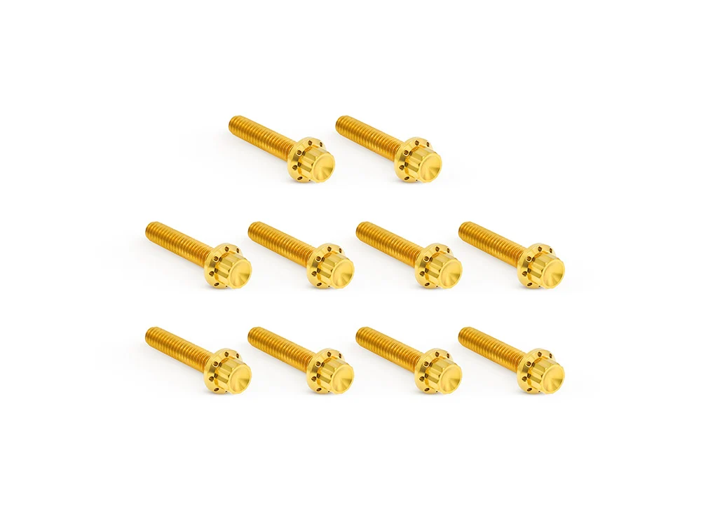 Arlen Ness AN-300-988 Titanium 12-Point Cam Cover Bolt Kit Gold for Harley-Davidson Twin Cam 99-17 Models