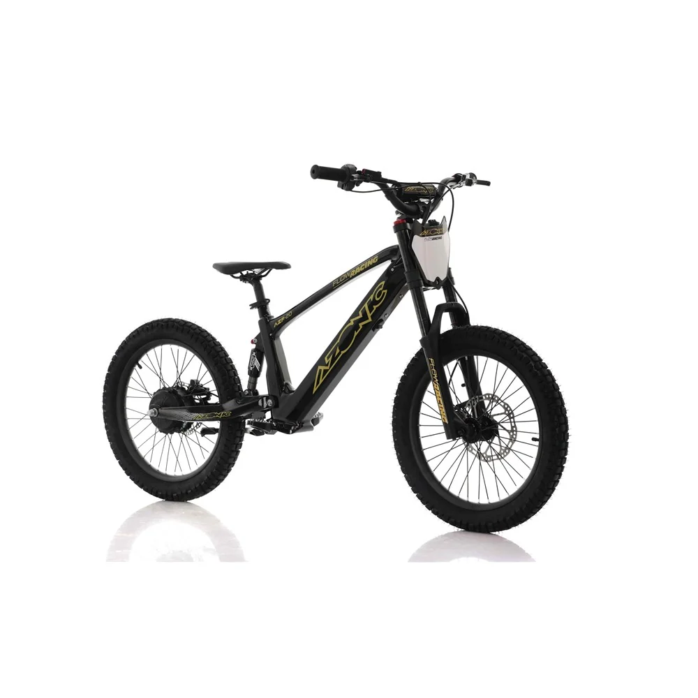 Azonic Flow 20 36V/7.2Ah/750W Electric Balance Bike Black/Gold - Image 4