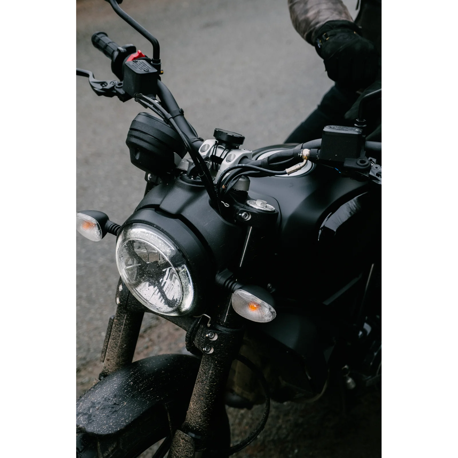 Beeline Universal Strap Mount - Image 5