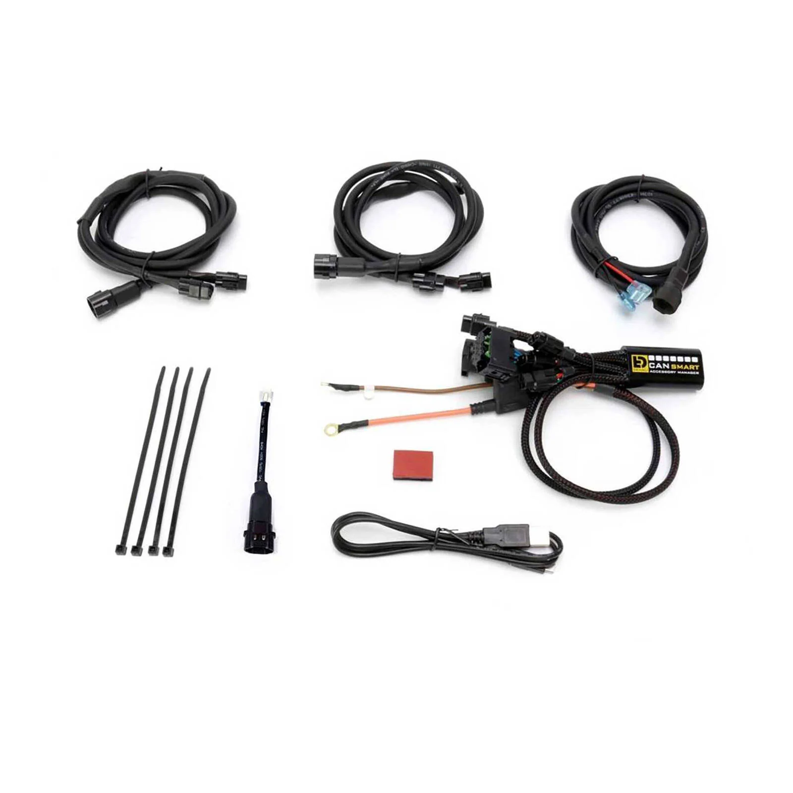 Denali CANsmart Gen II Controller for BMW R1200 Hex Head Models