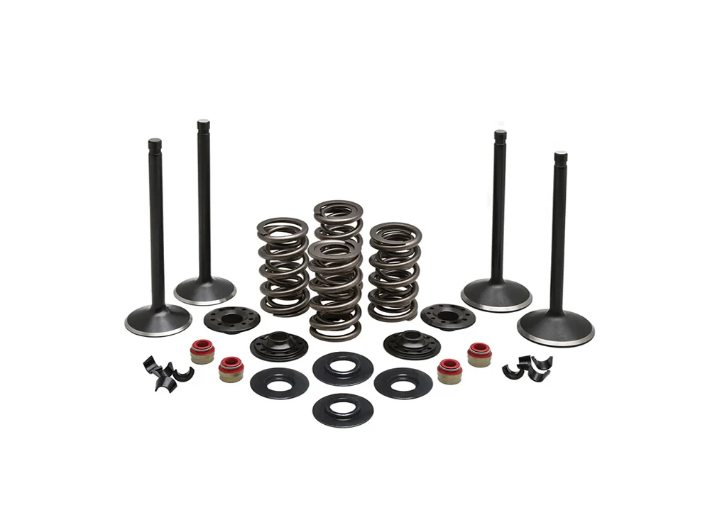 Kibblewhite KPM-20-22650 Valve & Spring Engine Kit for Harley-Davidson Evolution Big Twin 84-99
